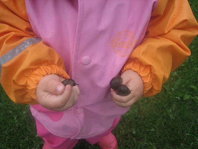 2007 Midsommar - 013